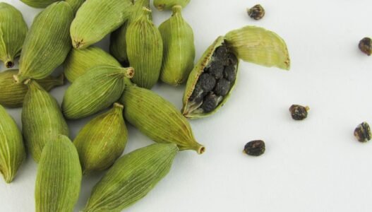 Cardamom: The Fragrant Jewel of Spice with Health Benefits